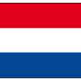 Vlaggenstok verchroomd inclusief vlag Nederland