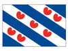 Vlag provincie Friesland