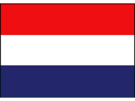 Vlag Nederland classic 40x60 cm